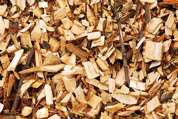 phế liệu gỗ là dễ bốc cháy